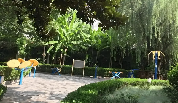倾世女枭雄